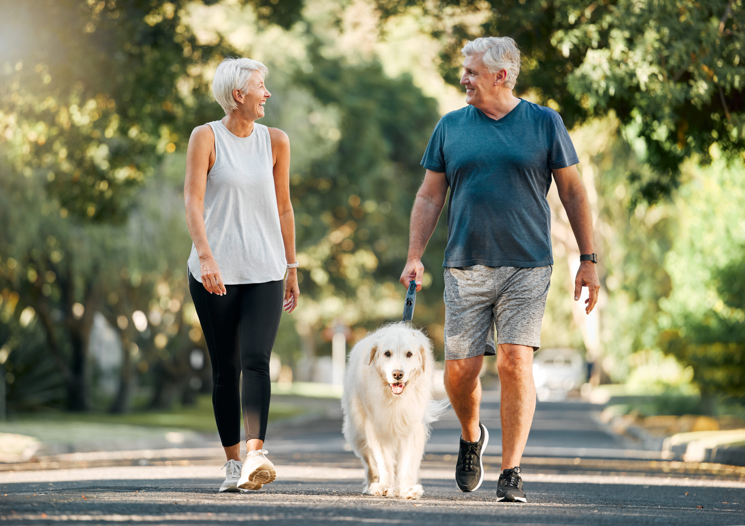 Retirement, fitness and walking with dog and couple in neighborhood park for relax, health and sports workout. Love, wellness and pet with old man and senior woman in outdoor morning walk together Senior couple walking with their dog