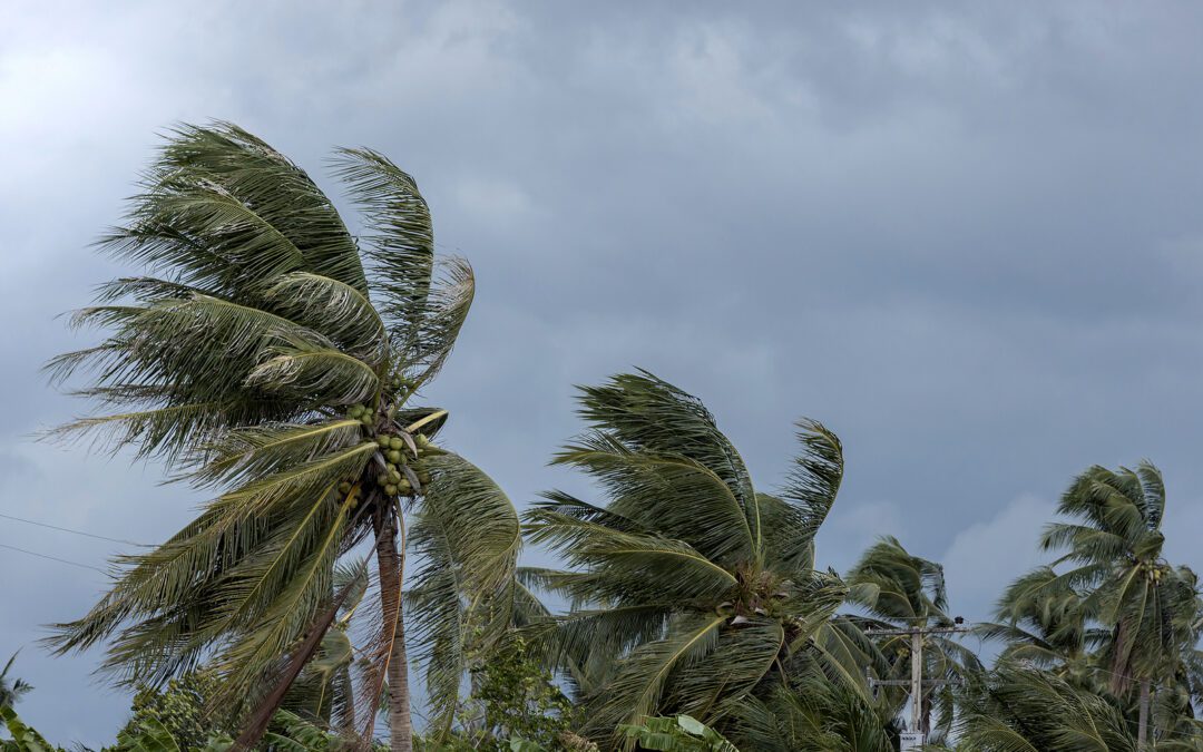 Preparing for Hurricane Season: A Senior’s Guide to Staying Safe and Ready